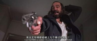 真心电影网概述