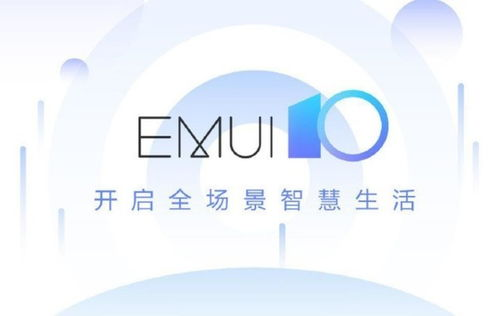 确保流畅观影体验的技巧