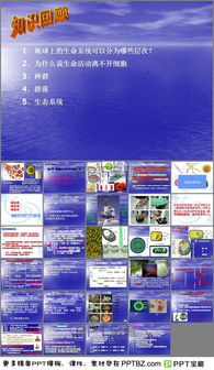 内容更新与多样性