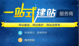 选择正规合法的网站