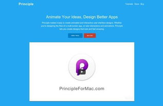 选择合适的下载工具