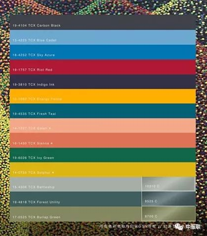 色彩搭配与视觉冲击