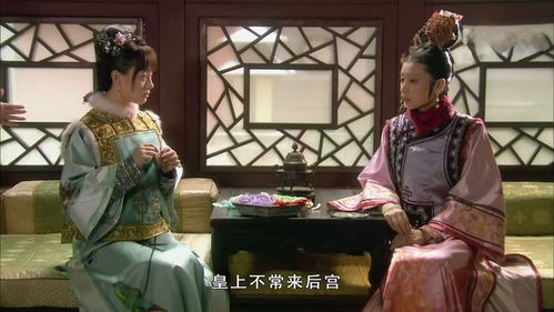 甄嬛传的在线讨论与社区