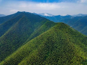 资源丰富，覆盖面广
