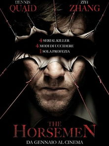 骑士电影网介绍