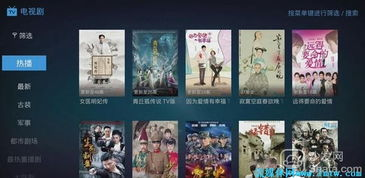 达速电影网最新动漫播放体验