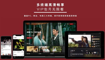 如何高效享受春天电影网站