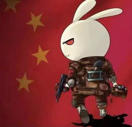 迷彩兔电影网电脑版的特点