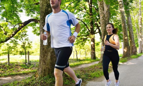 迷彩兔电影网电脑版的分类功能