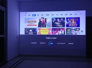 私人院电影网的用户体验