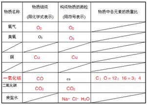 内容选择的多样性
