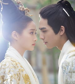 如何搜索凤囚凰资源