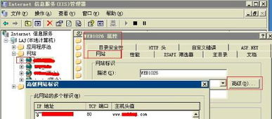 网站服务器故障