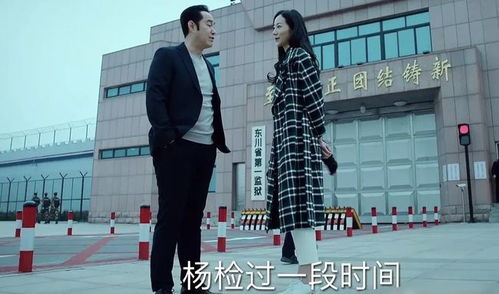 观众评价：巡回检察组的反响