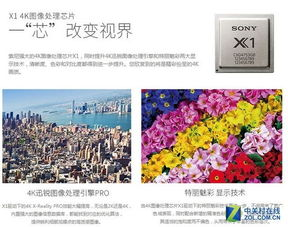 内容丰富：电影资源的多样性