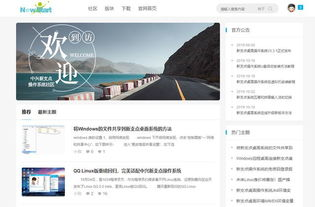 社区互动：用户交流与反馈