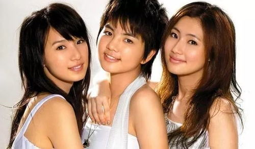 杏爱电影网的内容特色