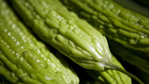 苦瓜电影网中飘雪的象征意义