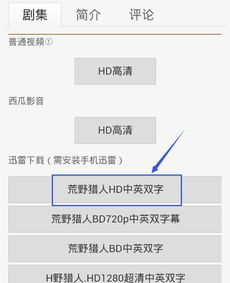 碟调电影网的播放体验