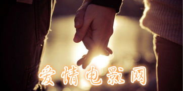 爱情电影网的资源更新