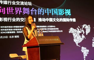 中国电影网站对文化传播的贡献