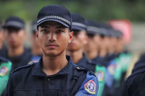 如何选择合适的辅警电影