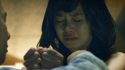 飘花电影网伦理影片的分类