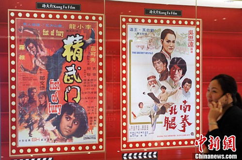 香港电影网站资源概览