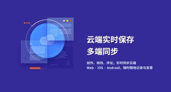 竞争对手2：新兴在线视频平台