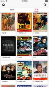 琪琪电影网伦AA概述