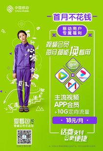 主流视频平台的会员服务