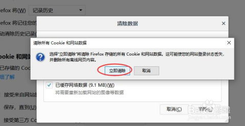 2. 清除浏览器缓存和Cookie