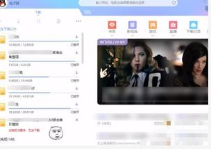 迅雷电影网的影视资源分类