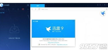 迅雷下载的注意事项