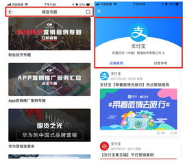 5. 网站D：社区活跃，互动性强