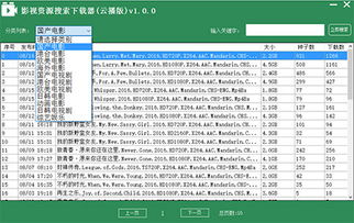 电影网站的资源覆盖