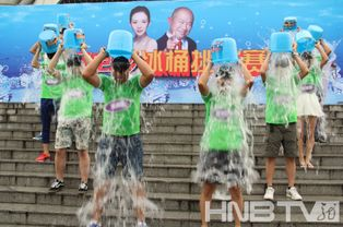 全民免费电影网的挑战