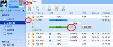 原因分析：为何下载不了