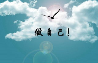 情感表达：梦想与现实的碰撞