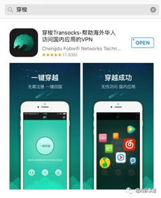国外在线电影网站的版权问题