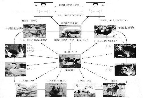 微电影的传播途径分析