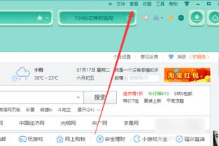 2. 访问网站的源代码