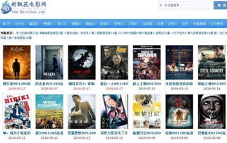 如何辨别免VIP电影网站的影片质量