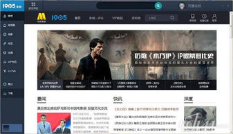 4. 免费与付费电影网站的选择