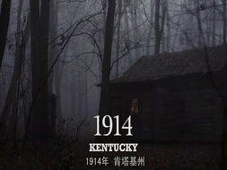 大树电影网的播放体验