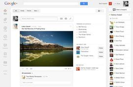 大树电影网的用户界面