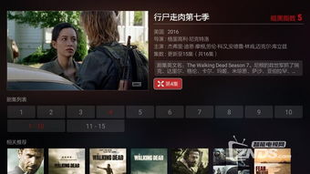 12看电影网简介