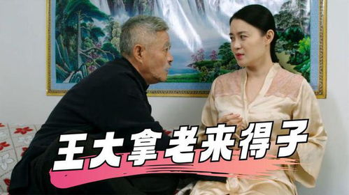 K5电影网乡村爱情九概述