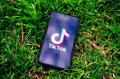 TikTok Shop东南亚第四季度销售新政策：聚焦清理低劣店铺，升级物流与客户服务，优化商家体验提升消费保障