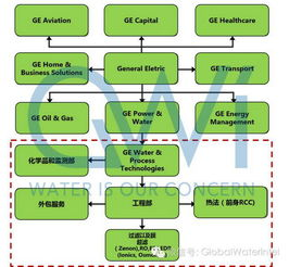 俄罗斯电商巨头Wildberries深度布局企业市场，掘金企业采购新赛道